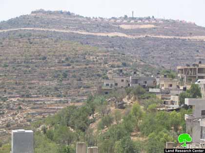 Les colons de Ma'ale Levona détruisent des douzaines d'oliviers dans le village de Al-Lubban Ash Sharquiya